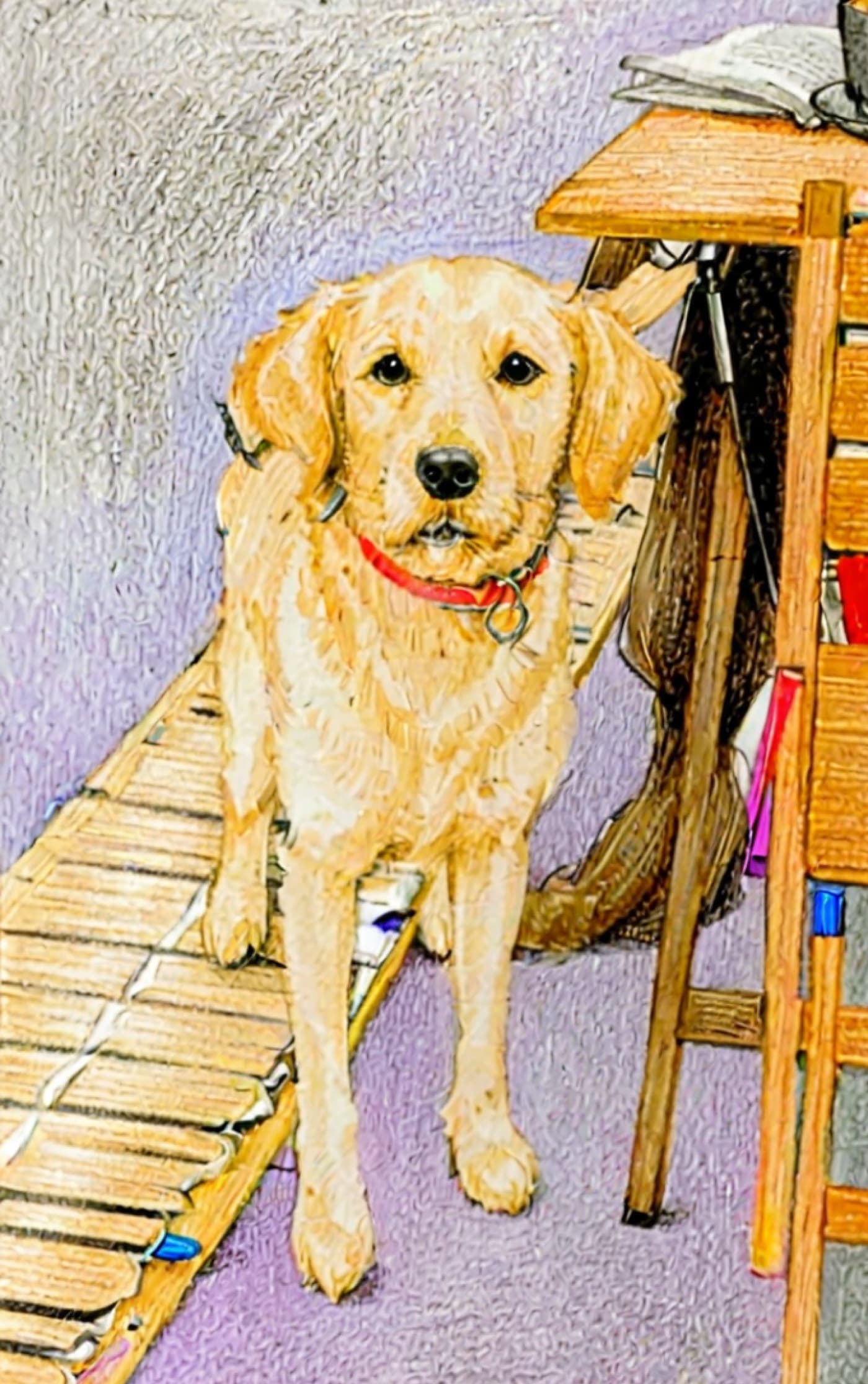 Mixed Media Style Pet Portrait