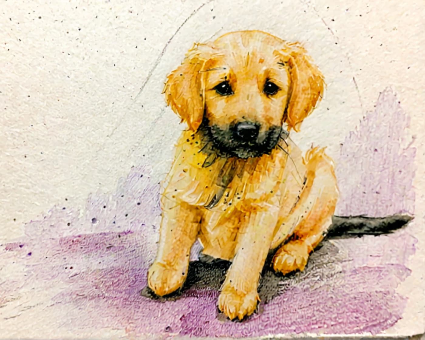 Mixed Media Style Pet Portrait