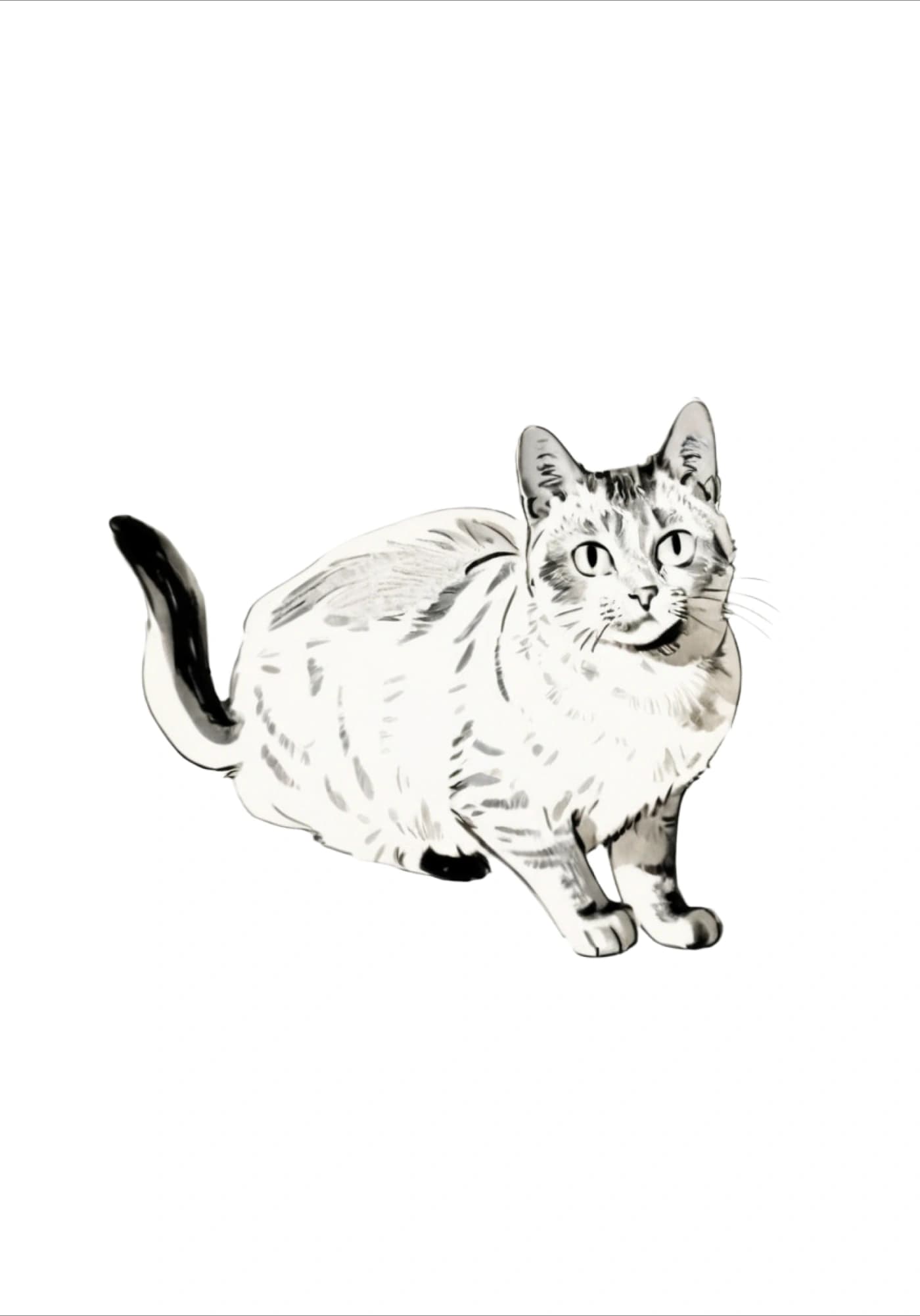 Simple Sketch Style Pet Portrait