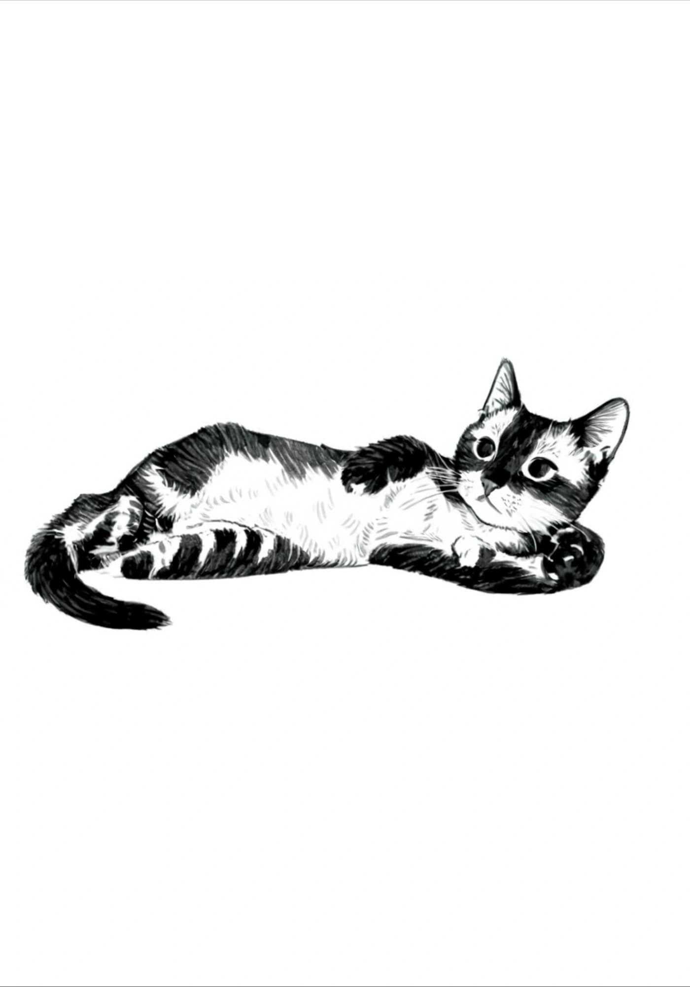 Simple Sketch Style Pet Portrait